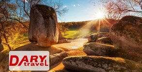 Дари Травел