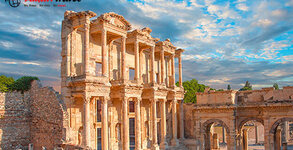 Amavi Travel
