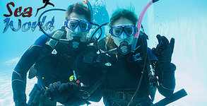 Водолазен център Sea World