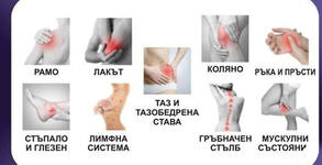 Салон Womanity
