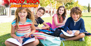 Angry Birds Academy