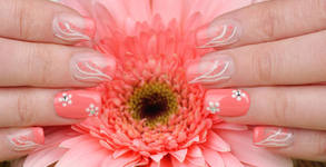 Flamingo Beauty Salon Rodina