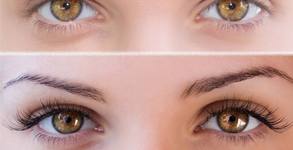 Hair & Beauty Livon