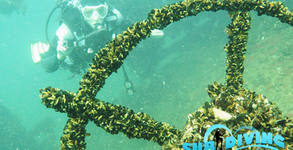Sub Diving