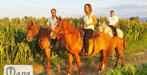 Конна база Тара