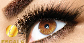 Escala Beauty Studio
