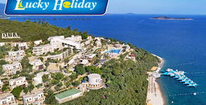 Lucky Holiday