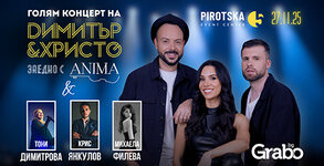 Ню Алтърнатив Вю