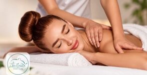 Dolphin Wellness