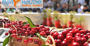 Enjoy Holiday