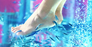 Flamingo Beauty Salon Rodina