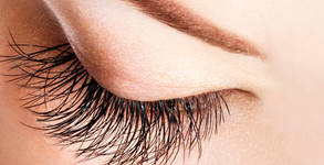 Hair & Beauty Livon