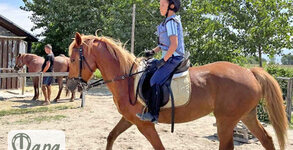 Конна база Тара