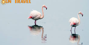 Sun Travel