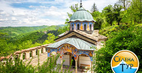 Селена Тур