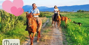 Конна база Тара