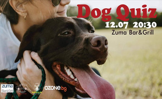 Куиз вечер на тема "Dog Quiz" на 12 Юли, в Zuma Bar & Grill