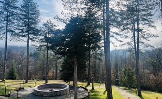 Край Търново