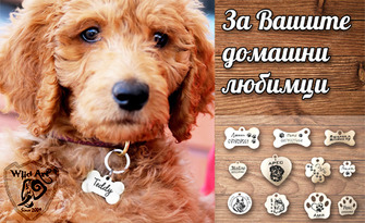 Подарък за домашния любимец! Персонализиран лазерно гравиран кучешки медальон, от Wild Art WorkShop