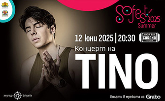 SoFest и TINO