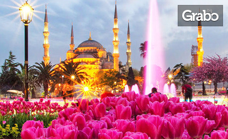 В Истанбул за Фестивала на лалето: 2 нощувки със закуски, плюс транспорт от София и посещение на Одрин