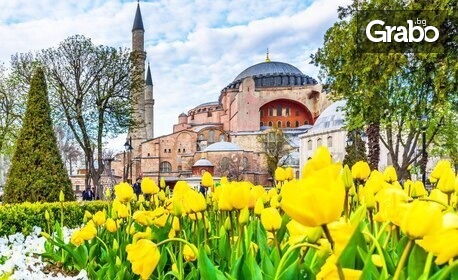Истанбул в лалета - пролетна приказка край Босфора: 2 нощувки със закуски, плюс транспорт и посещение на Mall Florya Mall & Aquarium