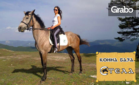2 часа разходка с кон за начинаещи, с инструктор - на 30 минути от Пловдив