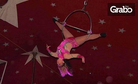 Вход за спектакъл на Цирк Феникс - от 17 до 29 Септември