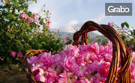 Красива със Seven Roses! Био сертифициран розов цвят, натурална розова вода или комплект с продукти за пътуване