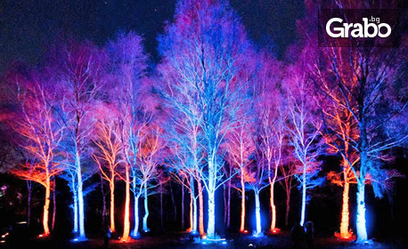 Вход за Светлинно шоу Luminos от 17 до 21 Август в Екопарк Варна