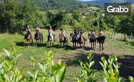 Забавление в Родопите, край Пловдив! 2 часа разходка с кон за начинаещи или напреднали, с квалифициран инструктор