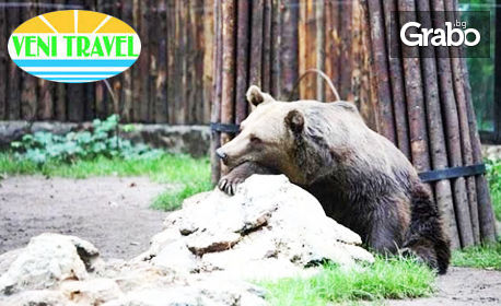 Еднодневна лятна екскурзия до Букурещ с възможност за Природонаучния музей, Музея на селото и Зоологическата градина