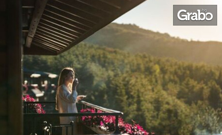 Романтика във Велинград: 4 нощувки със закуски в помещение по избор, плюс ползване на SPA център и паркинг