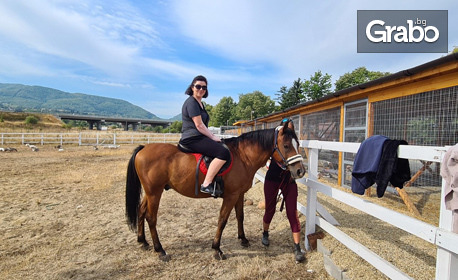 60 минути урок по езда по метода Natural Horsemanship - край София