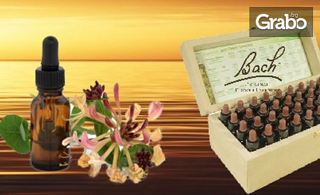 Възстановете хармонията с цветни капки на Д-р Бах