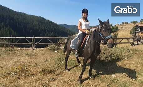 Конна езда в Родопите! 45 минути урок с инструктор - в с. Триград или с. Ягодина