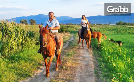 Забавление край Пловдив! Урок по конна езда или разходка с кон - за начинаещи или напреднали