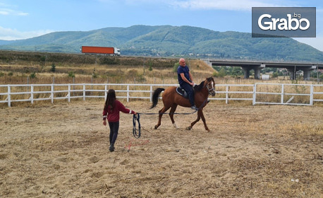 60 минути урок по езда по метода Natural Horsemanship - край София