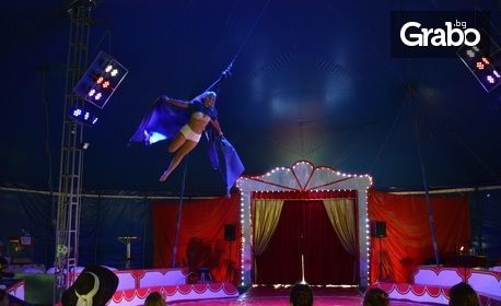 Вход за спектакъл на Цирк Феникс - от 17 до 29 Септември