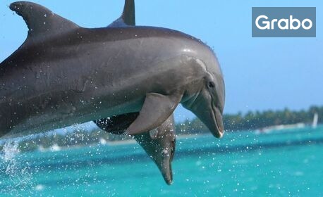 Last Minute до Доминикана през Май: 7 нощувки на база All Inclusive в Хотел Vista Sol Punta Cana Beach Resort 4*, плюс самолетен транспорт от Мадрид