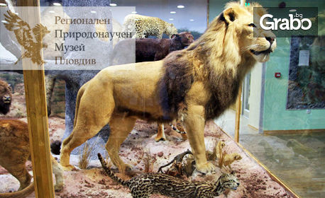 Вход за Регионален природонаучен музей - Пловдив! Разглеждане на експозицията - за един възрастен и едно дете