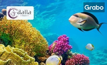 Почивка в екзотичен Египет: 7 нощувки на база All Inclusive в Xperience St. George Sharm El Sheikh****, плюс самолетен транспорт