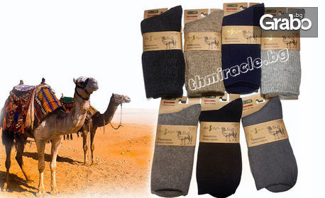 Чорапи от камилска вълна