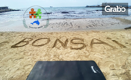 Bonsai гимнастика или табата, с възможност за тренировка на плажа