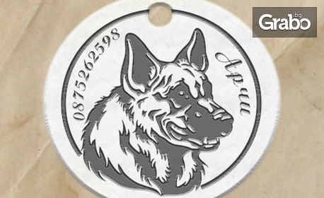 Гравиран кучешки медальон