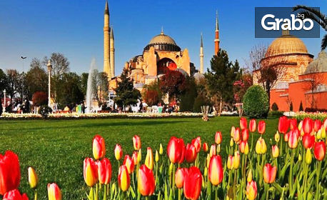 Екскурзия за Фестивала на лалето в Истанбул! 3 нощувки със закуски, плюс транспорт