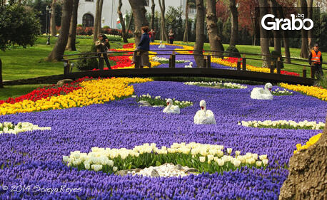 За Фестивала на лалето в Истанбул: 3 нощувки със закуски, плюс транспорт и посещение на Одрин