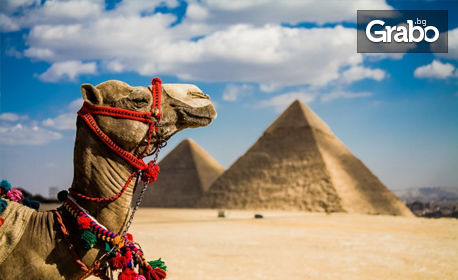 Екскурзия до Египет! 4 нощувки с 3 закуски и 4 вечери в Кайро, самолетен и автобусен транспорт и възможност за Александрия