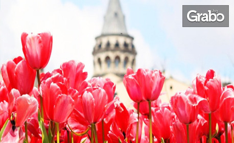 Посети Фестивала на лалето в Истанбул! 3 нощувки със закуски, плюс транспорт от Варна и посещение на Лозенград