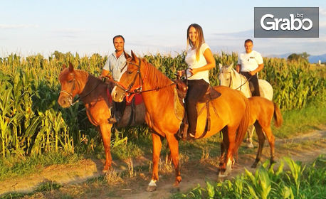 Забавление край Пловдив: Урок по конна езда или разходка с кон - за начинаещи или напреднали - в с. Ягодово